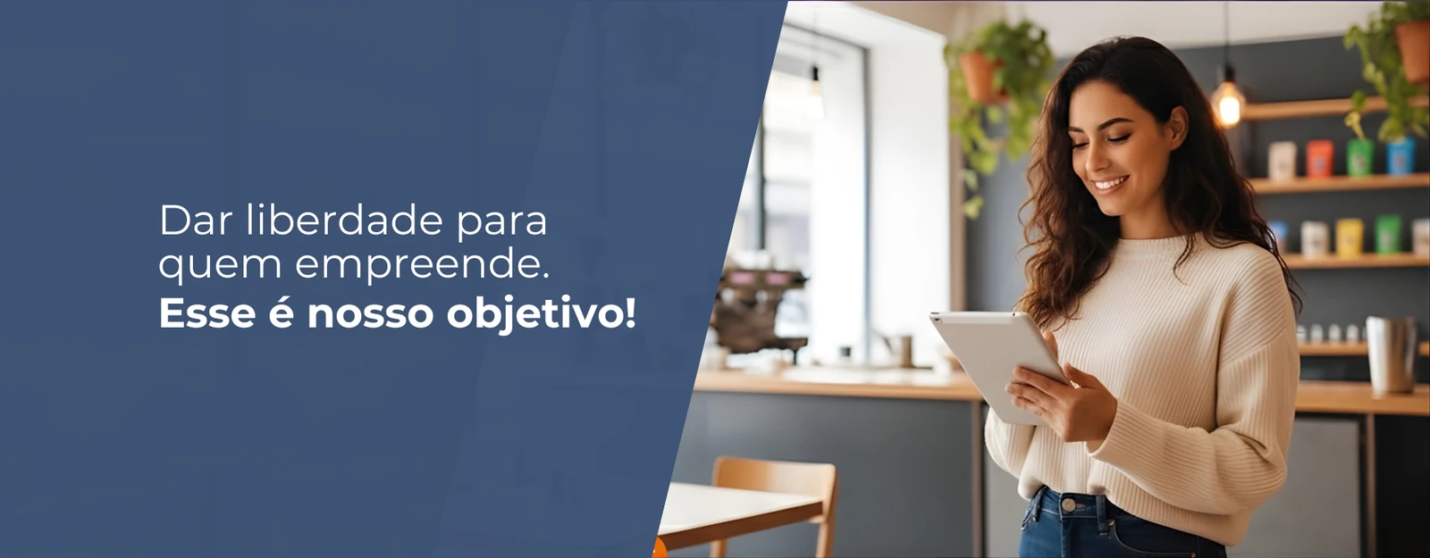 Banner original de software Panzatech